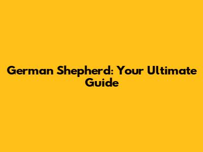 German Shepherd: Your Ultimate Guide