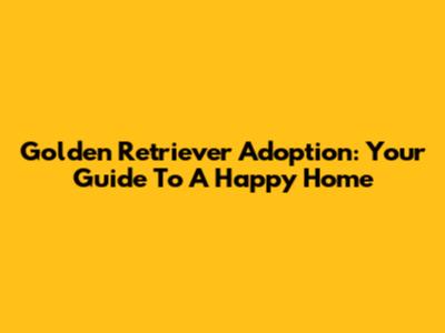 Golden Retriever Adoption: Your Guide To A Happy Home