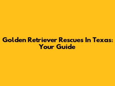 Golden Retriever Rescues In Texas: Your Guide