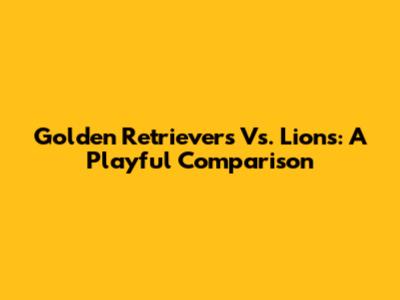 Golden Retrievers Vs. Lions: A Playful Comparison
