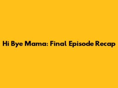 Hi Bye Mama: Final Episode Recap