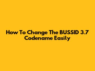 How To Change The BUSSID 3.7 Codename Easily