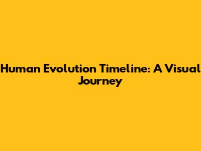 Human Evolution Timeline: A Visual Journey