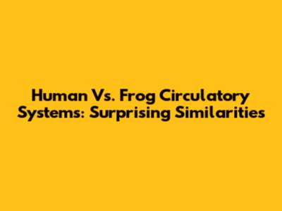 Human Vs. Frog Circulatory Systems: Surprising Similarities