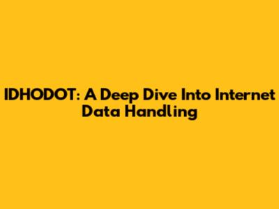 IDHODOT: A Deep Dive Into Internet Data Handling