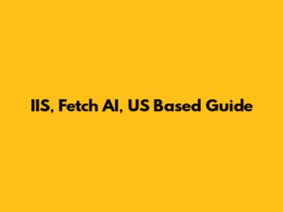 IIS, Fetch AI, US Based Guide