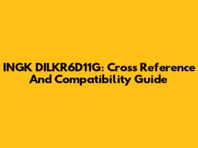 INGK DILKR6D11G: Cross Reference And Compatibility Guide
