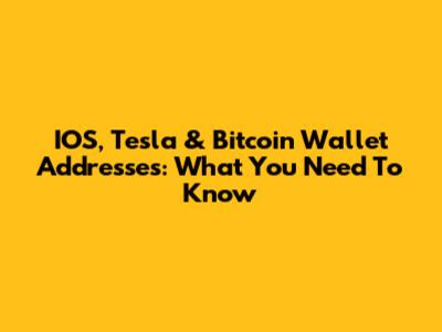 IOS, Tesla & Bitcoin Wallet Addresses: What You Need To Know