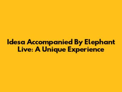 Idesa Accompanied By Elephant Live: A Unique Experience
