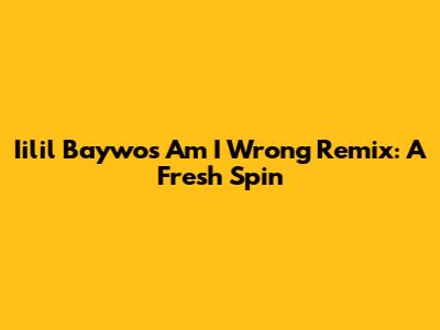 Iilil Baywo's "Am I Wrong" Remix: A Fresh Spin