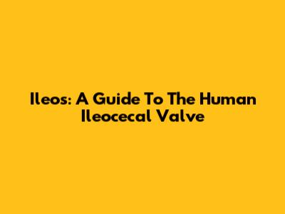 Ileo's: A Guide To The Human Ileocecal Valve