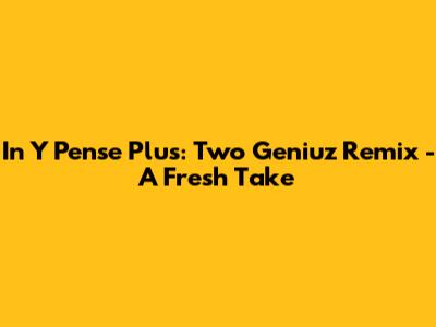 In Y Pense Plus: Two Geniuz Remix - A Fresh Take