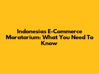 Indonesia's E-Commerce Moratorium: What You Need To Know