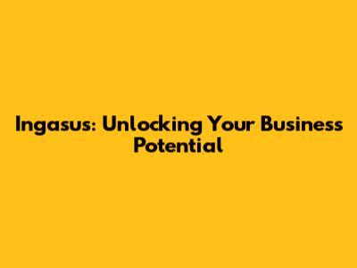 Ingasus: Unlocking Your Business Potential