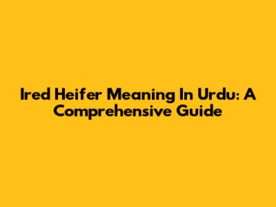 Ired Heifer Meaning In Urdu: A Comprehensive Guide