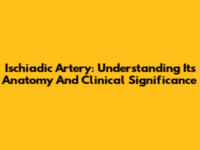 Ischiadic Artery: Understanding Its Anatomy And Clinical Significance