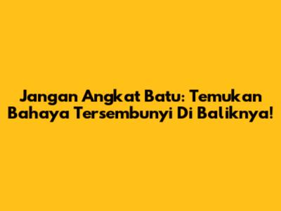 Jangan Angkat Batu: Temukan Bahaya Tersembunyi Di Baliknya!