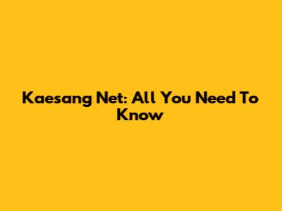 Kaesang Net: All You Need To Know