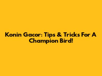 Konin Gacor: Tips & Tricks For A Champion Bird!