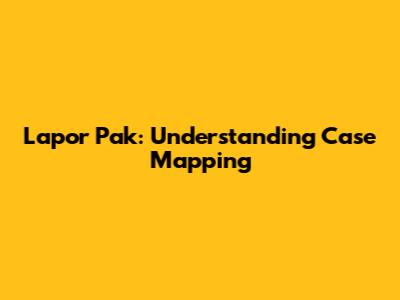 Lapor Pak: Understanding Case Mapping