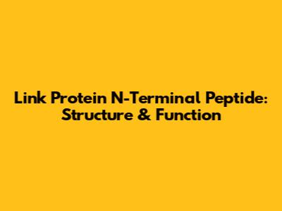 Link Protein N-Terminal Peptide: Structure & Function