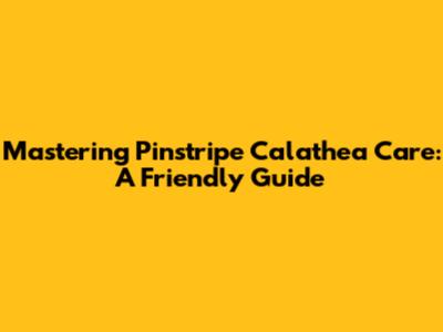Mastering Pinstripe Calathea Care: A Friendly Guide