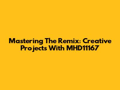 Mastering The Remix: Creative Projects With MHD11167