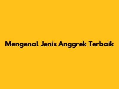 Mengenal Jenis Anggrek Terbaik