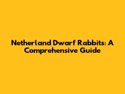 Netherland Dwarf Rabbits: A Comprehensive Guide
