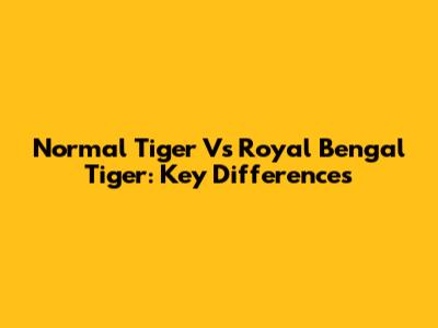 Normal Tiger Vs Royal Bengal Tiger: Key Differences