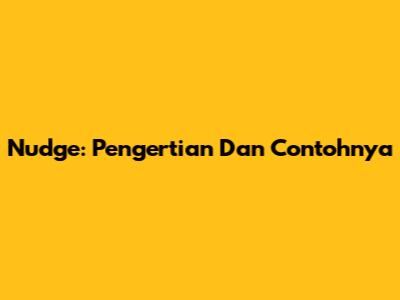 Nudge: Pengertian Dan Contohnya