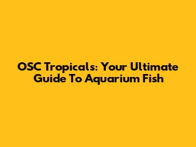 OSC Tropicals: Your Ultimate Guide To Aquarium Fish