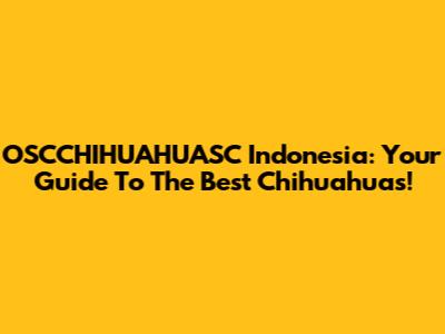 OSCCHIHUAHUASC Indonesia: Your Guide To The Best Chihuahuas!