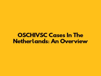 OSCHIVSC Cases In The Netherlands: An Overview