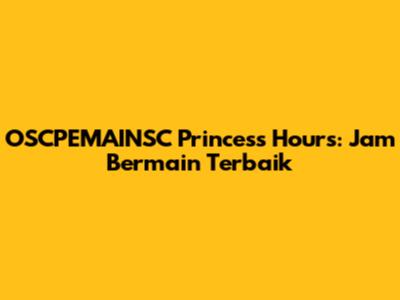 OSCPEMAINSC Princess Hours: Jam Bermain Terbaik