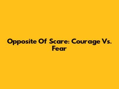 Opposite Of Scare: Courage Vs. Fear
