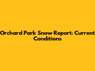 Orchard Park Snow Report: Current Conditions