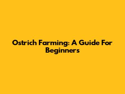 Ostrich Farming: A Guide For Beginners