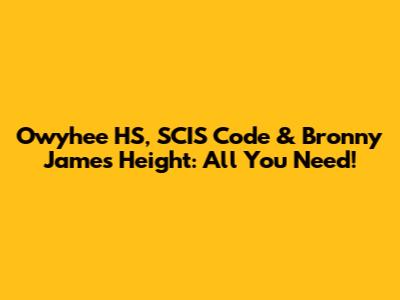 Owyhee HS, SCIS Code & Bronny James' Height: All You Need!