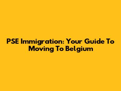 PSE Immigration: Your Guide To Moving To Belgium