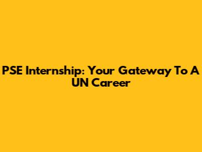 PSE Internship: Your Gateway To A UN Career