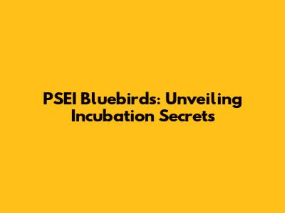 PSEI Bluebirds: Unveiling Incubation Secrets