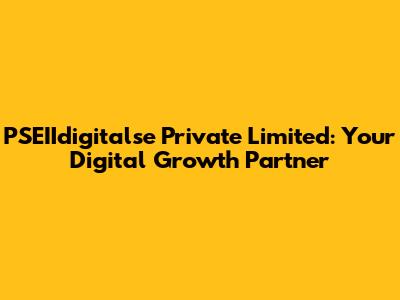 PSEIIdigitalse Private Limited: Your Digital Growth Partner