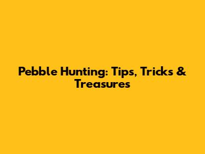 Pebble Hunting: Tips, Tricks & Treasures