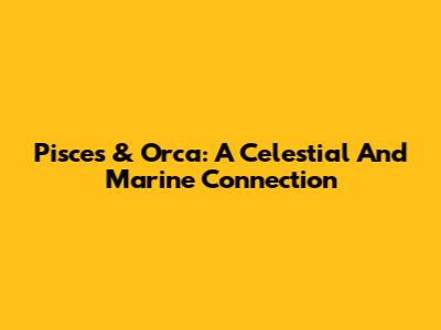 Pisces & Orca: A Celestial And Marine Connection