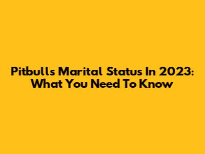 Pitbull's Marital Status In 2023: What You Need To Know