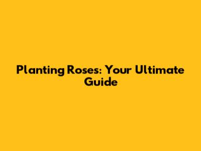Planting Roses: Your Ultimate Guide