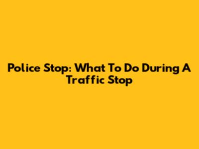 Police Stop: What To Do During A Traffic Stop
