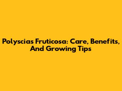 Polyscias Fruticosa: Care, Benefits, And Growing Tips