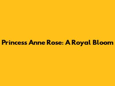 Princess Anne Rose: A Royal Bloom